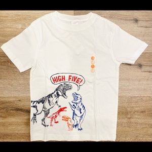 Gymboree Boy Dinosaur T-Shirt (Size S - 5/6)
